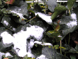 e0360834_01223467.jpg