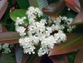 e0360834_01233325.jpg
