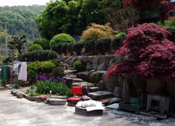 e0360834_01234229.jpg