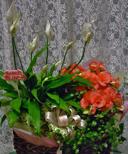 e0360834_01234418.jpg