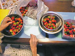 e0360834_01234789.jpg
