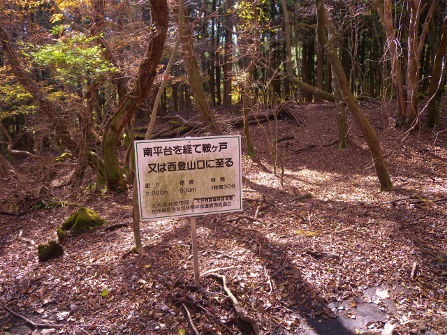 e0272335_5234169.jpg