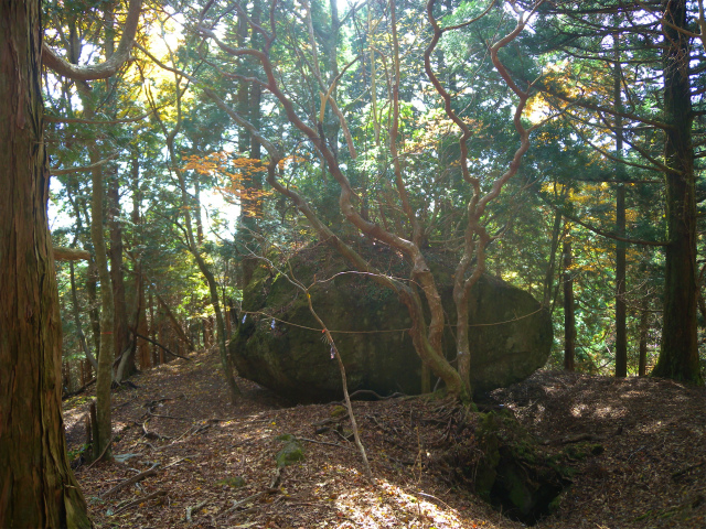 e0272335_5262528.jpg