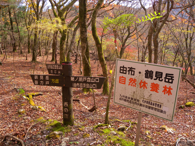 e0272335_5321160.jpg