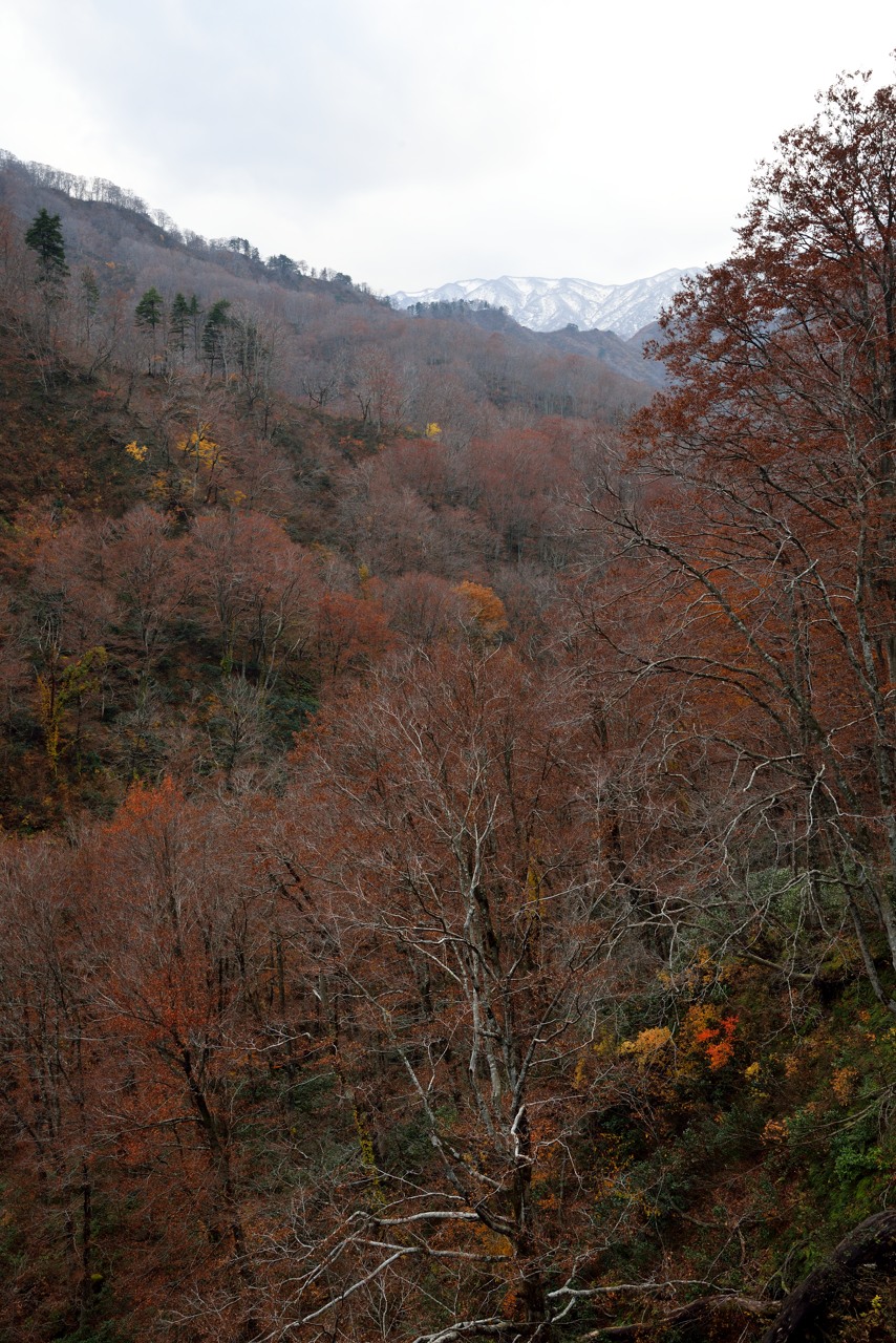 b0096536_23331438.jpg