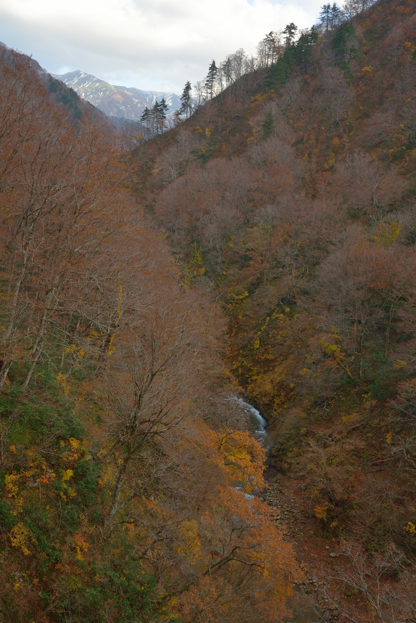 b0096536_2333148.jpg