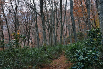 b0096536_23331517.jpg