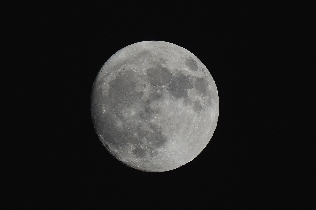 b0096536_23331686.jpg