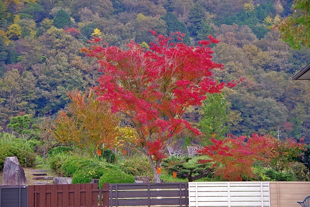 b0312736_21334846.jpg
