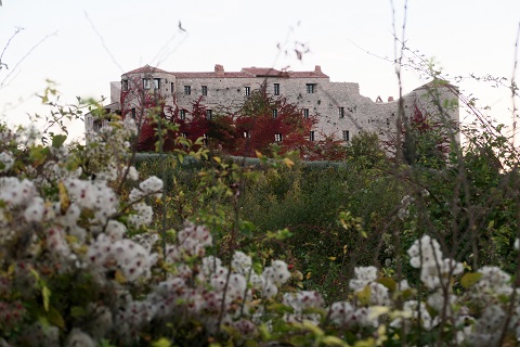 f0234936_7242355.jpg