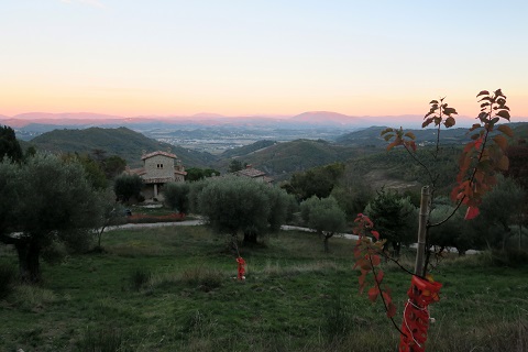 f0234936_7305914.jpg