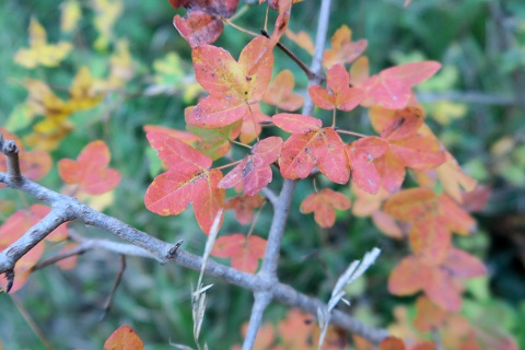 f0234936_74994.jpg
