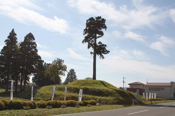 f0147037_1538594.jpg