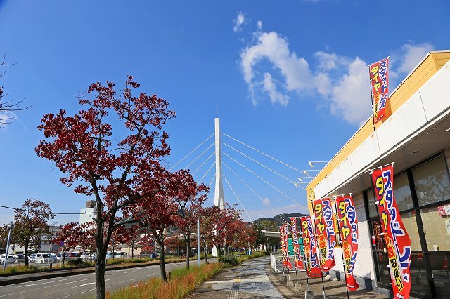 a0242438_20012819.jpg