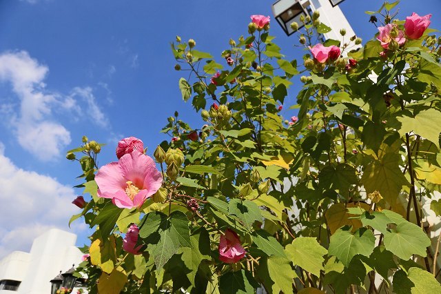 a0242438_20013640.jpg