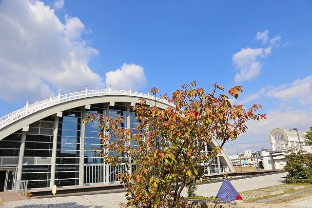 a0242438_20024863.jpg