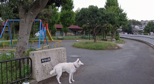 a0117039_1303339.jpg