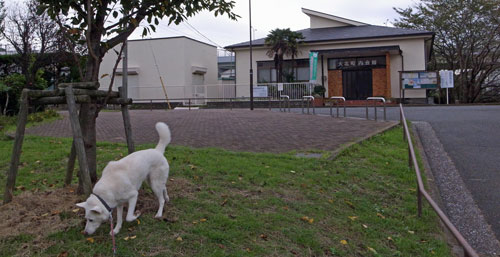 a0117039_130483.jpg