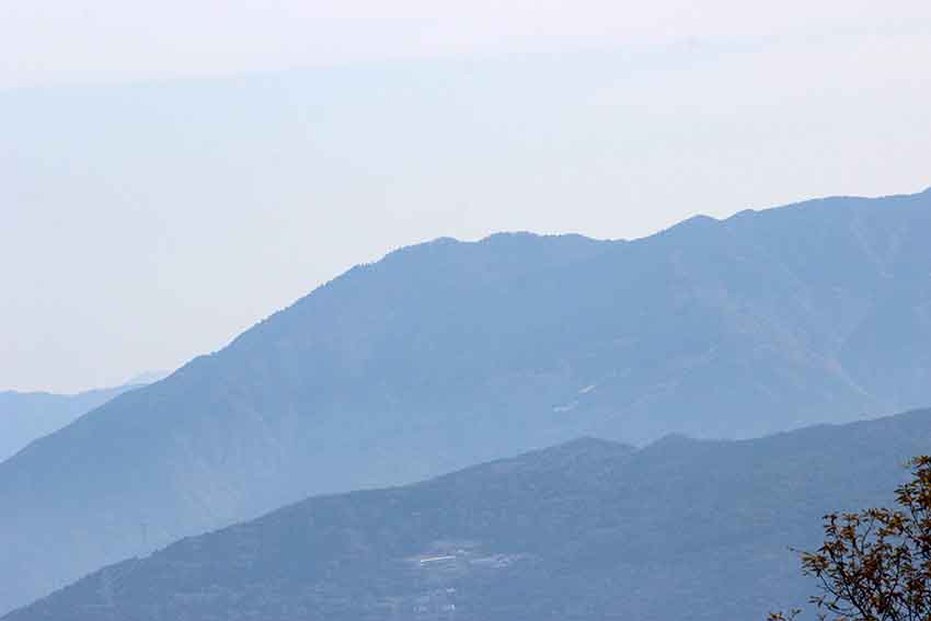 d0058941_21383.jpg