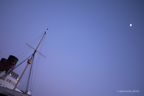 d0352941_08375690.jpg