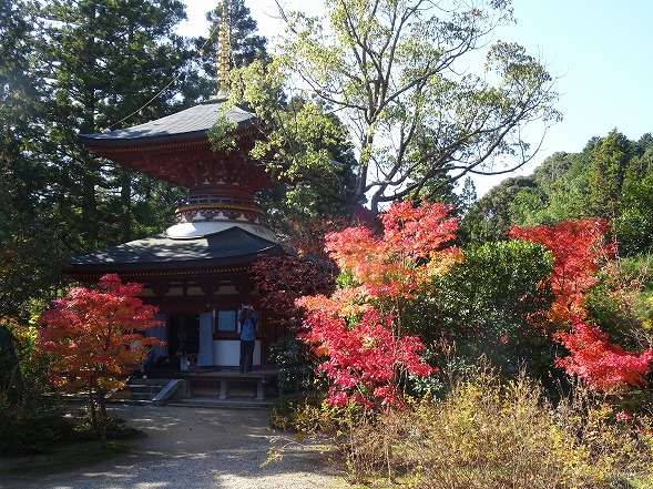 b0299042_2384100.jpg