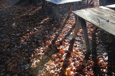 f0161543_21354738.jpg