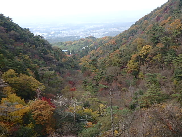 f0334143_21425564.jpg