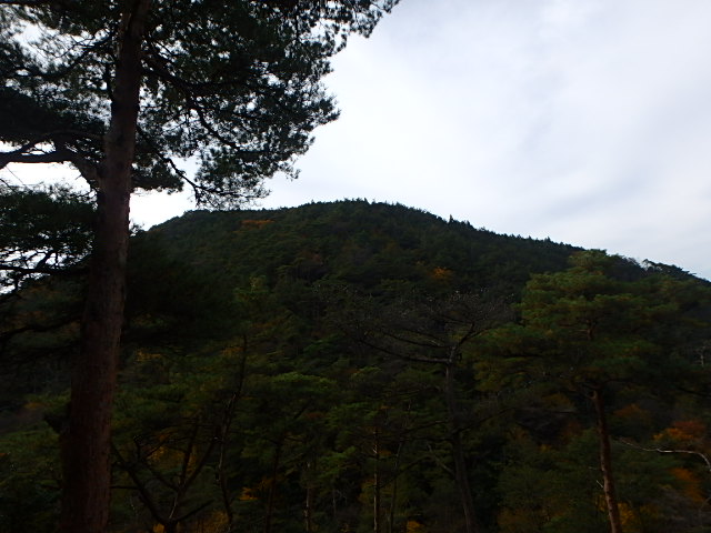 f0334143_2143295.jpg