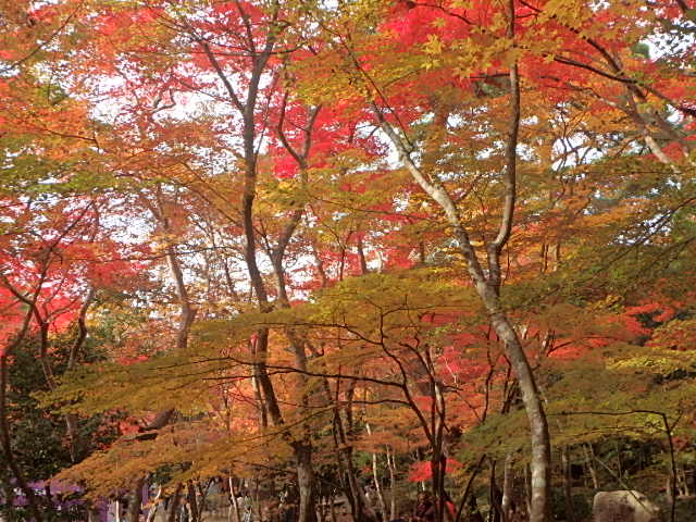 f0334143_21471772.jpg