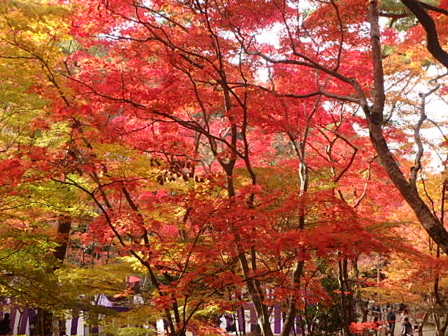 f0334143_2147969.jpg