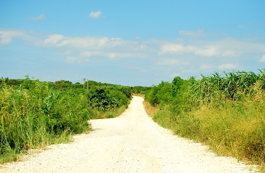 d0148244_08094777.jpg
