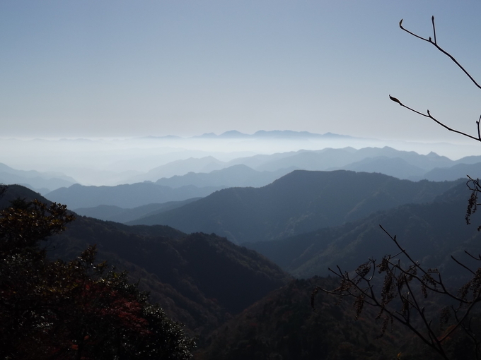 a0206345_8114110.jpg