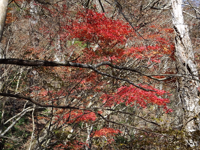 a0206345_821479.jpg
