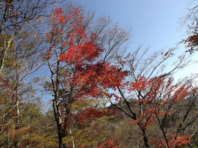 a0206345_8275069.jpg