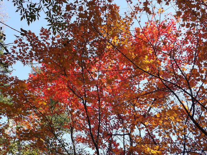 a0206345_8465038.jpg