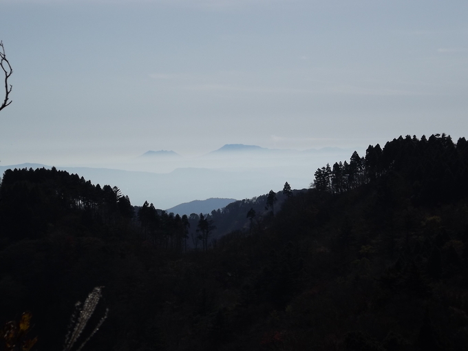 a0206345_9192851.jpg