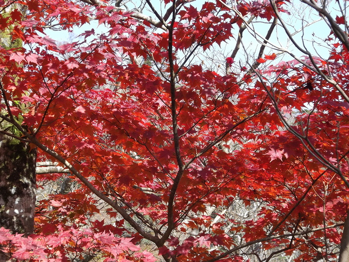 a0206345_9301692.jpg