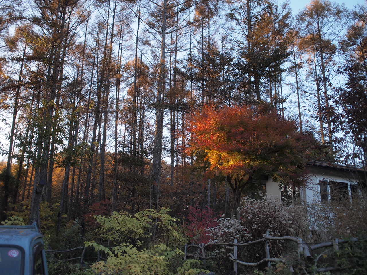 a0299945_10085085.jpg