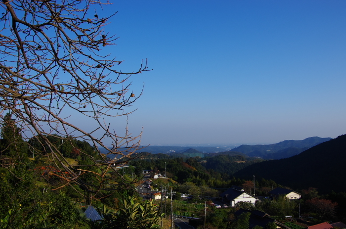 e0262946_21035412.jpg