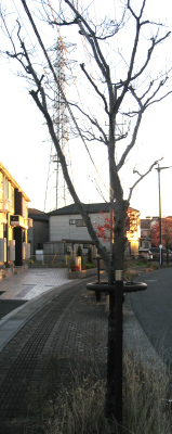 f0153547_07171731.jpg