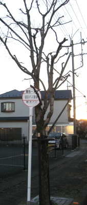 f0153547_07173165.jpg