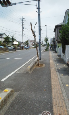 f0153547_07344947.jpg