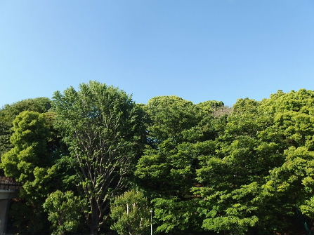 d0063149_12013736.jpg