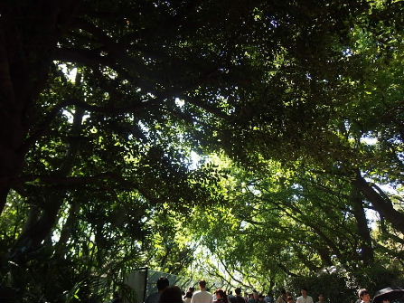 d0063149_12013812.jpg