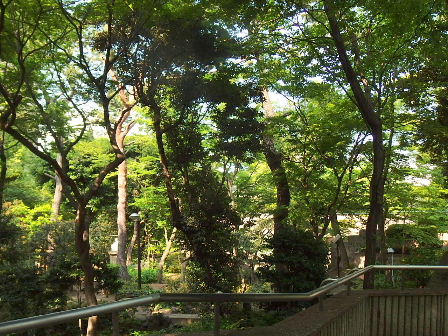 d0063149_12021019.jpg