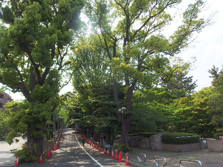 d0063149_12021232.jpg