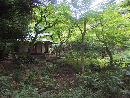 d0063149_12075550.jpg