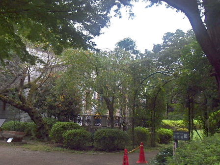 d0063149_12075740.jpg