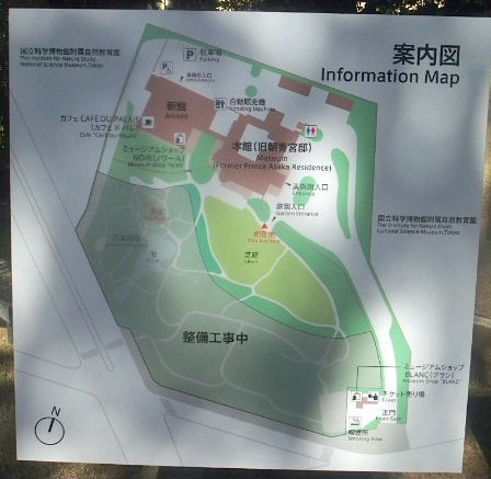 d0063149_12083260.jpg