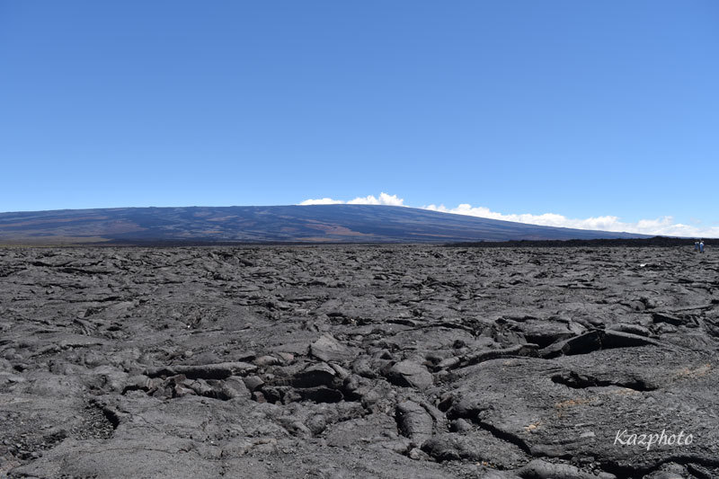 f0247849_11292054.jpg